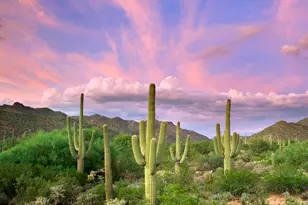 7086 W Quiet Brk Pl, Marana, AZ 85658 - Photo 44