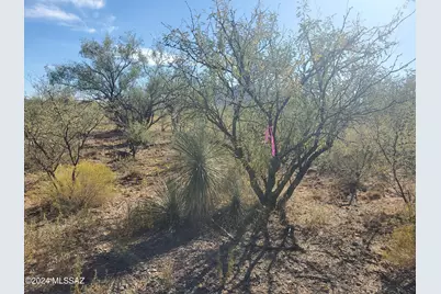 1978 Calle Cominos #6, Rio Rico, AZ 85648 - Photo 6