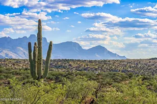 16500 N Ridge Rock Trail, Tucson, AZ 85739 - Photo 10
