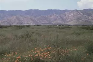 Irene St, Pearce, AZ 85625 - Photo 1