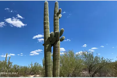 +/-40Acres E Davis Ranch Road #-, Marana, AZ 85658 - Photo 10