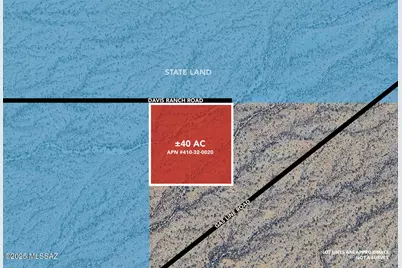 +/-40Acres E Davis Ranch Road #-, Marana, AZ 85658 - Photo 1