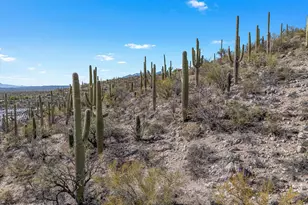 13716 E Placita Del Inca, Tucson, AZ 85749 - Photo 32