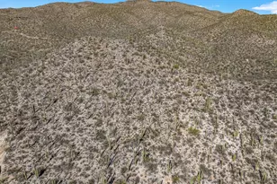 13716 E Placita Del Inca, Tucson, AZ 85749 - Photo 24