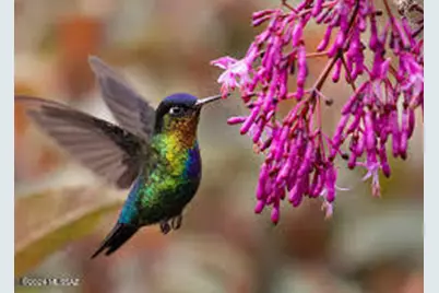 000 E Cougar Trail #96, Saint David, AZ 85630 - Photo 14