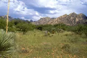 000 E Cougar Trail, Saint David, AZ 85630 - Photo 1