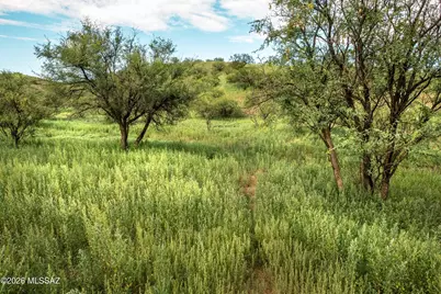 214 Tanglehead Lane #9, Patagonia, AZ 85624 - Photo 2