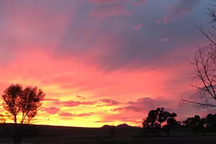 Tbd San Rafael Valley Rd, Patagonia, AZ 85624 - Photo 16