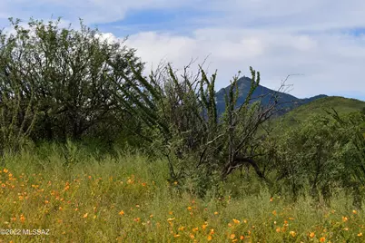 000 Poorwill Canyon Court #28, Tubac, AZ 85646 - Photo 8