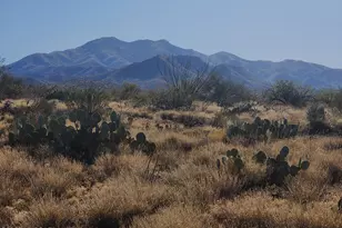 3001 E Barcelona Dr, Vail, AZ 85641 - Photo 1