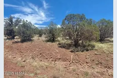 3297 N Joyce Drive, Williams, AZ 86046 - Photo 2