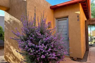 116 Powell Ct, Tubac, AZ 85646 - Photo 4