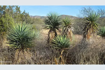 3 Camino La Paz #3B, Patagonia, AZ 85624 - Photo 30
