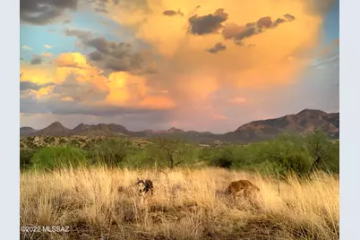 3 Camino La Paz #3B, Patagonia, AZ 85624 - Photo 22