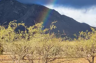 12440 S Coleman Rd, Tucson, AZ 85735 - Photo 34