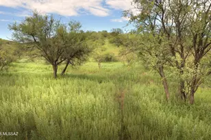 178 Tanglehead Ln, Patagonia, AZ 85624 - Photo 1