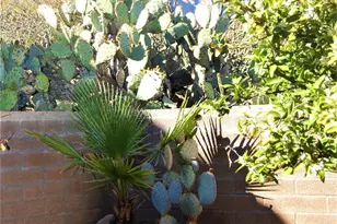 4049 E Via Del Mirlillo, Tucson, AZ 85718 - Photo 30