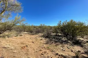 15879 W Bolo Pl, Tucson, AZ 85736 - Photo 6