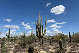 5120 W Lambert Ln, Tucson, AZ 85742 - Photo 1