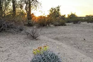 12417 W Nolen Rd, Tucson, AZ 85743 - Photo 1