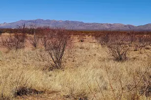 Lot 12/13A E Whitaker Ln, Douglas, AZ 85607 - Photo 1