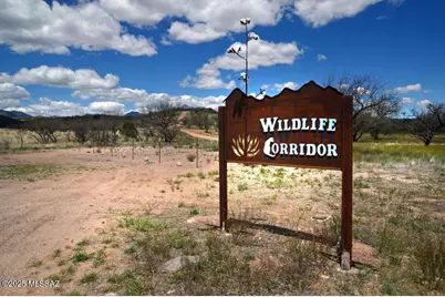 118 Tanglehead Lane, Patagonia, AZ 85624 - Photo 46