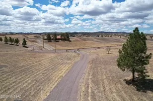 20 Buckskin Ln, Sonoita, AZ 85637 - Photo 38