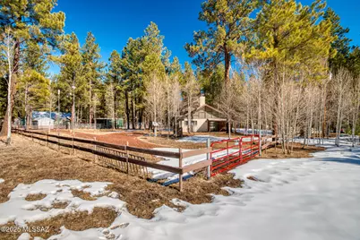 31 County Road, Greer, AZ 85927 - Photo 26