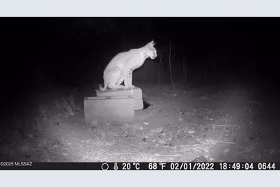 Tbd Harshaw Road #Lot 2, Patagonia, AZ 85624 - Photo 46