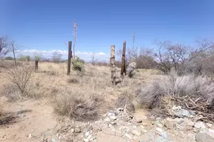 Tbd Jeffords Trail, Willcox, AZ 85643 - Photo 1