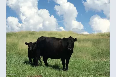 000 Forest Road 4748 Road, Patagonia, AZ 85624 - Photo 34