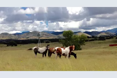 000 Forest Road 4748 Road, Patagonia, AZ 85624 - Photo 2