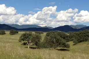 000 Forest Road 4748 Rd, Patagonia, AZ 85624 - Photo 4