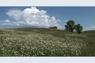 000 Forest Road 4748 Road, Patagonia, AZ 85624 - Photo 16