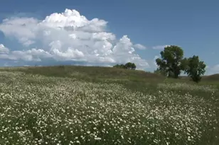 000 Forest Road 4748 Rd, Patagonia, AZ 85624 - Photo 16