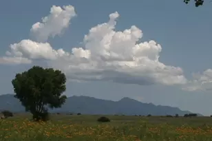 000 Forest Road 4748 Rd, Patagonia, AZ 85624 - Photo 10