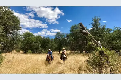 000 Forest Road 4748 Road, Patagonia, AZ 85624 - Photo 32