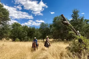 000 Forest Road 4748 Rd, Patagonia, AZ 85624 - Photo 32