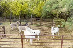 45 Clark Crossing Rd, Tubac, AZ 85646 - Photo 48