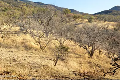 Tbd Harshaw Road #Lot 3, Patagonia, AZ 85624 - Photo 4