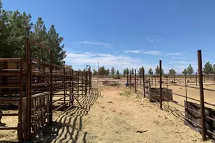 3515 W Gleeson Rd, Elfrida, AZ 85610 - Photo 34