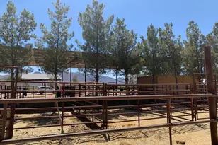 3515 W Gleeson Rd, Elfrida, AZ 85610 - Photo 32