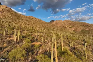 1779 E Barrell Cactus Ct, Tucson, AZ 85718 - Photo 8