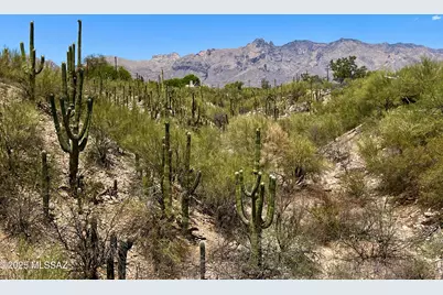 1979 E Campbell Terrace, Tucson, AZ 85718 - Photo 38