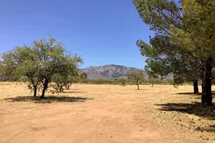 311 W Kaibab Way, Cochise, AZ 85606 - Photo 24