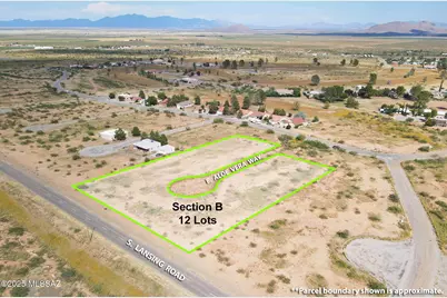 66 Lots E Ironwood Road #66, Sunsites, AZ 85625 - Photo 6