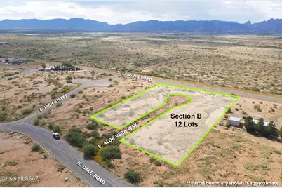 66 Lots E Ironwood Road #66, Sunsites, AZ 85625 - Photo 4