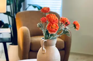 13045 N Burrobush Loop, Marana, AZ 85658 - Photo 8