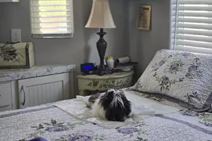 251 S Ocotillo Ave, Benson, AZ 85602 - Photo 6