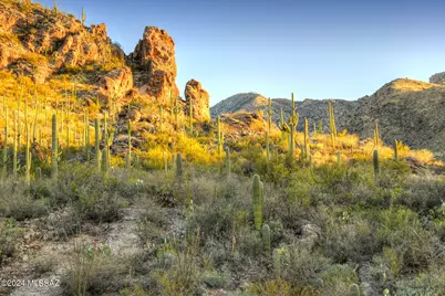 6940 N Flying View Place, Tucson, AZ 85750 - Photo 14